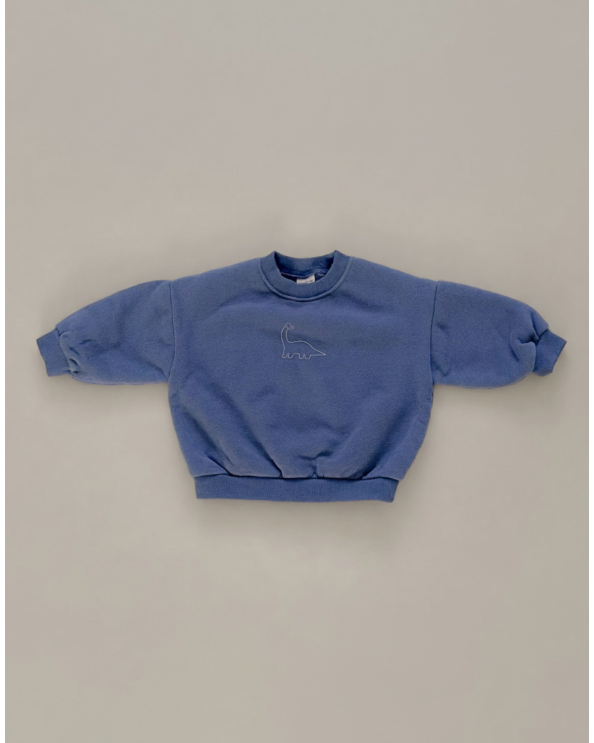 Dinosaur Print Sweatshirt