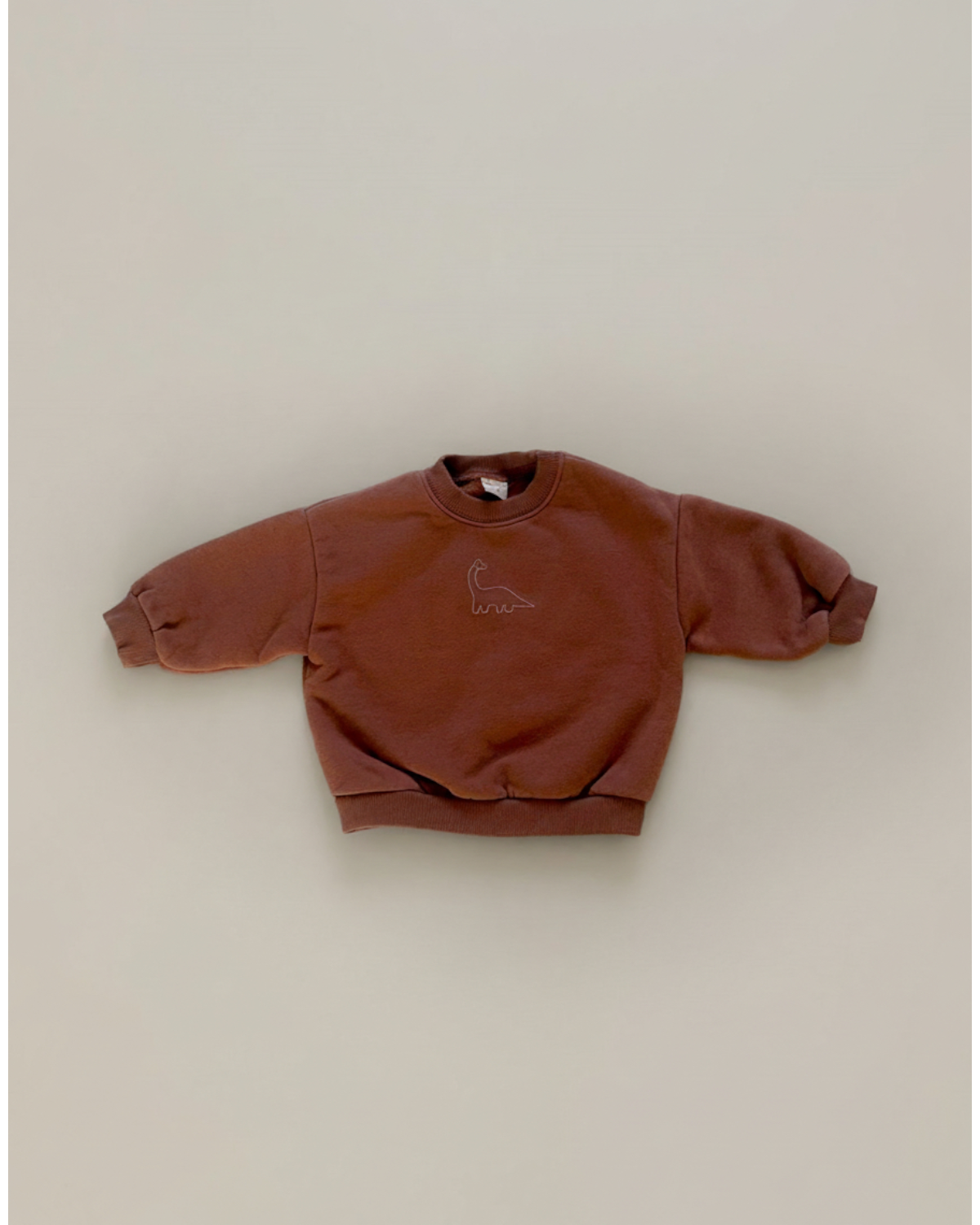 Dinosaur Print Sweatshirt